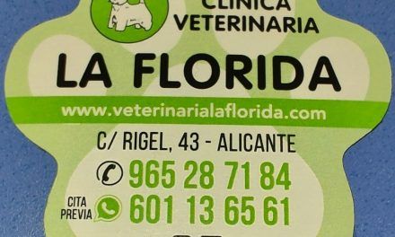Clínica Veterinaria En Alicante La Florida VeterinariaLaFlorida.com